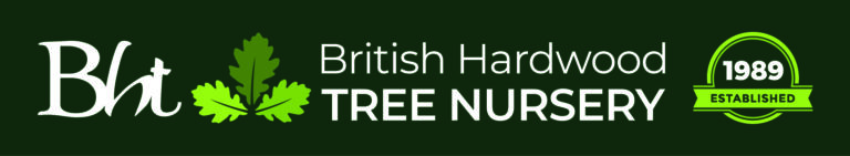 British Hardwood Logo