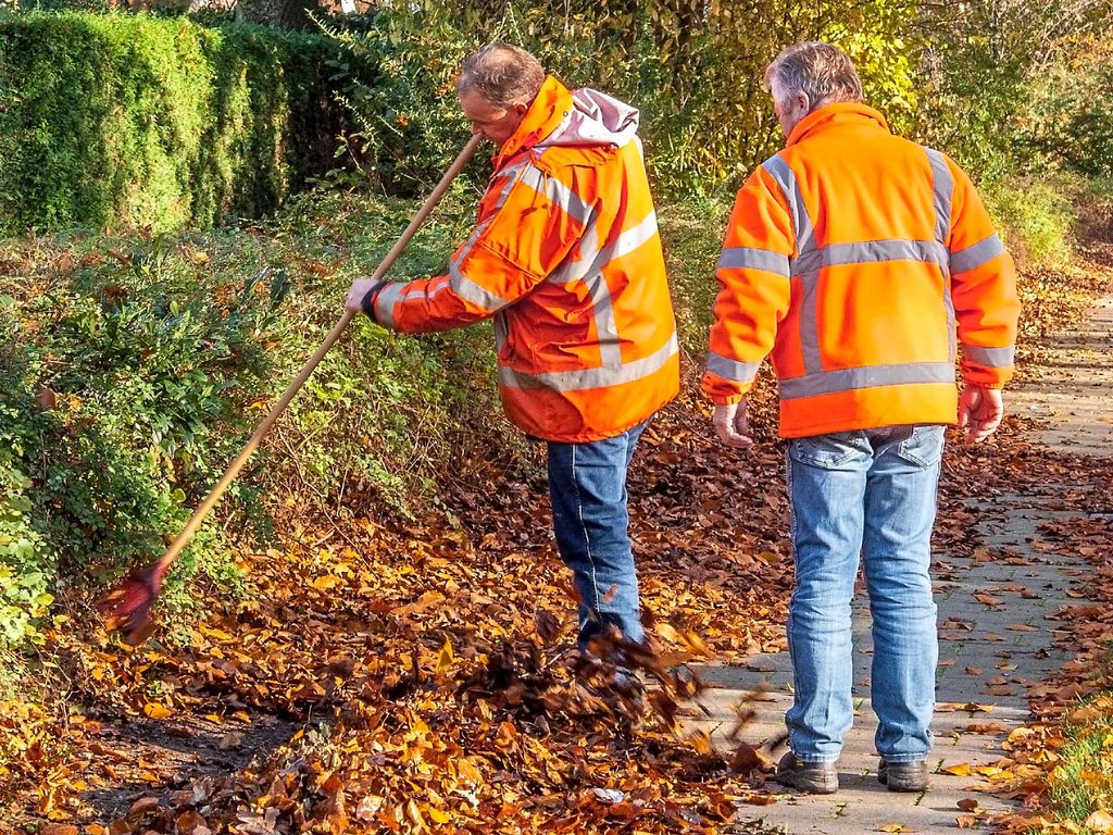 Men raking autumn leaves on a pavement